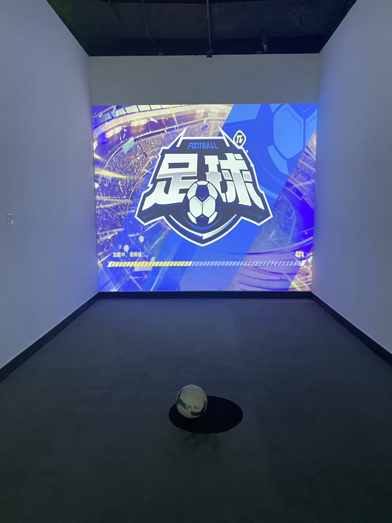 大庆数字创意产业园-球类运动模拟识别系统